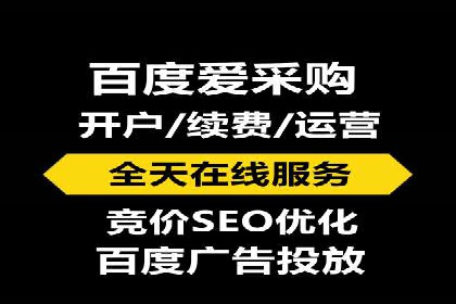 行业领先！专业SEM托管的成功实践案例